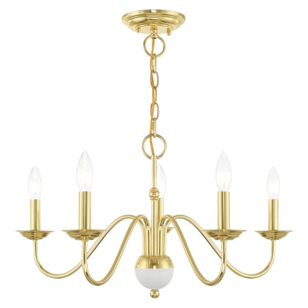 Alternate Angle (Polished Brass)