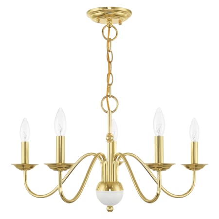 Alternate Angle (Polished Brass)