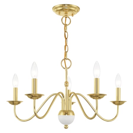 Alternate Angle (Polished Brass)