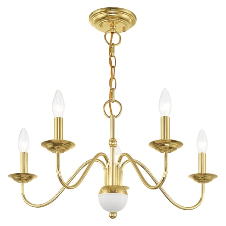 Alternate Angle (Polished Brass)