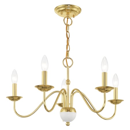 Alternate Angle (Polished Brass)