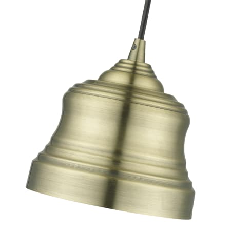 Alternate Image