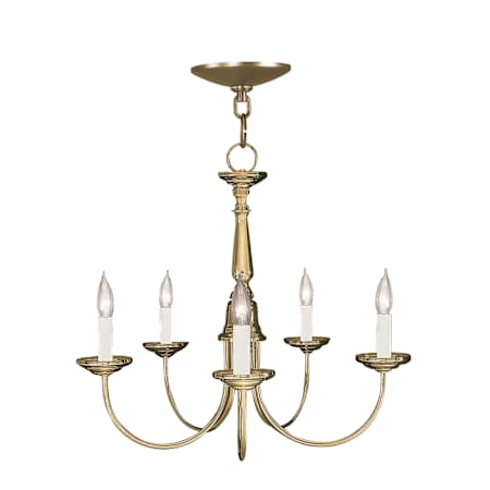 Livex Lighting Home Basics 5 Light 1 Tier Chandelier Antique Brass