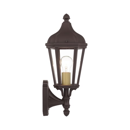 Livex Lighting Morgan Single Light 14-1/4" Tall Outdoor Wall Sconce with Glass Panel Shades Bronze