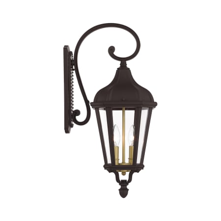Livex Lighting Morgan 2 Light 23-1/2" Tall Outdoor Wall Sconce with Glass Panel Shades Bronze