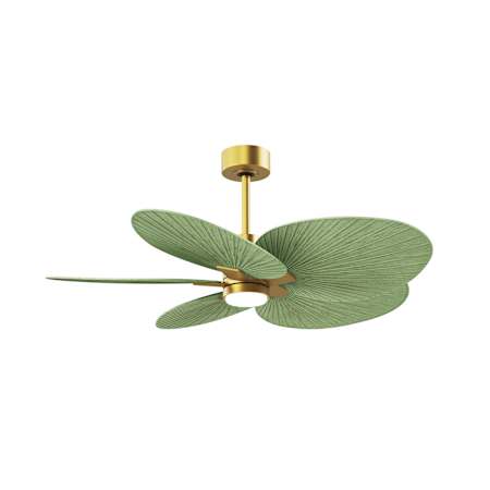 Matthews Fan Company Alessandra Tropical - LK 48" 5 Blade Indoor / Outdoor LED Ceiling Fan Brushed Brass