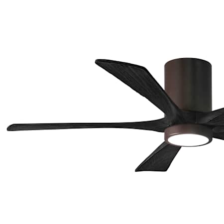 Alternate Image
