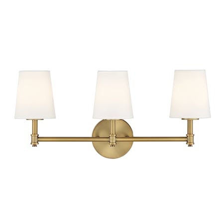 Meridian 3 Light 24" Wide Bathroom Vanity Light Natural Brass