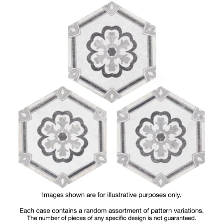 Alternate Image