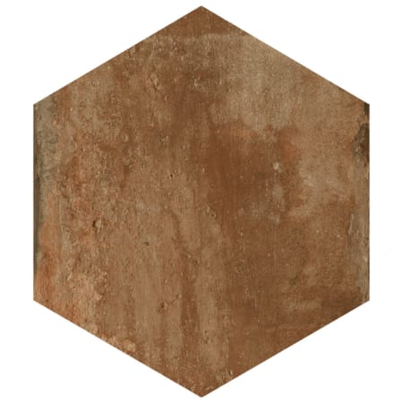 Alternate Image