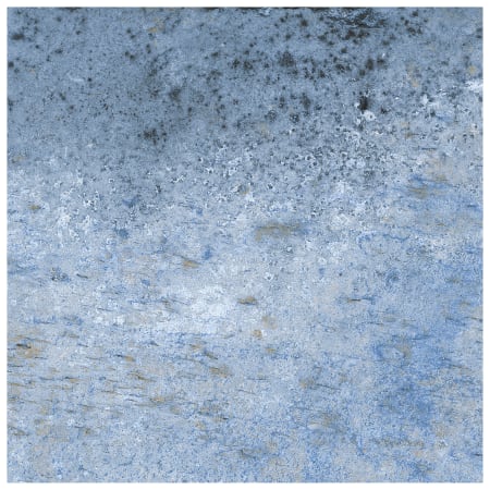 Alternate Image