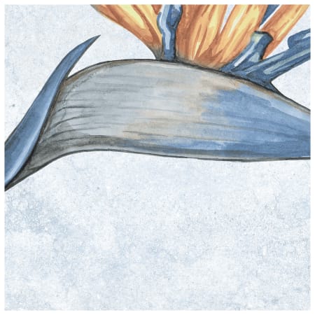 Alternate Image