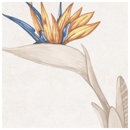 Alternate Image