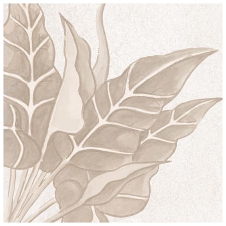 Alternate Image