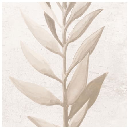Alternate Image
