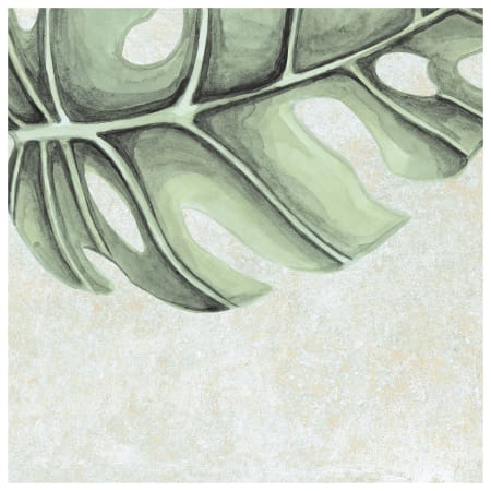 Alternate Image