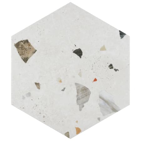 Alternate Image
