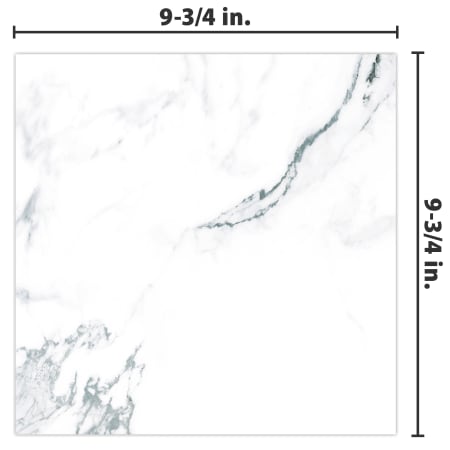 Alternate Image