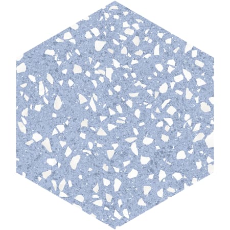 Alternate Image