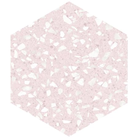 Alternate Image