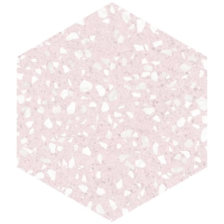 Alternate Image