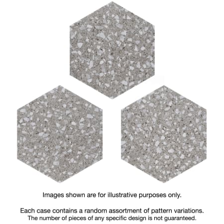 Alternate Image