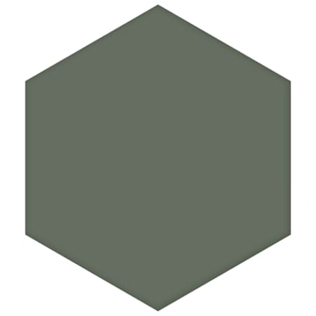 Alternate Image