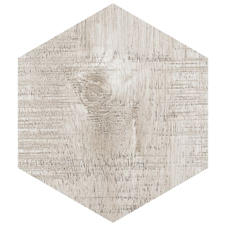 Alternate Image