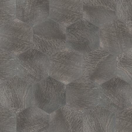 Alternate Image