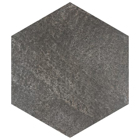 Alternate Image