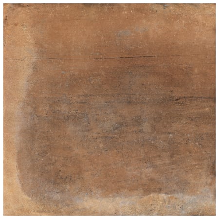 Alternate Image