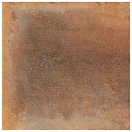 Alternate Image