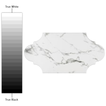 Alternate Image
