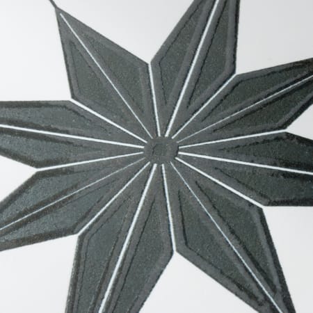 Alternate Image