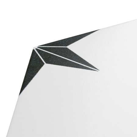 Alternate Image
