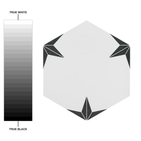 Alternate Image