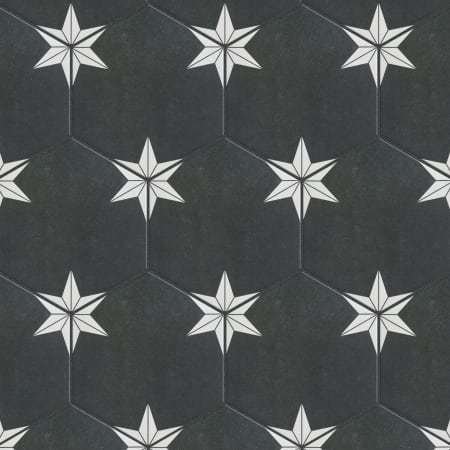 Alternate Image