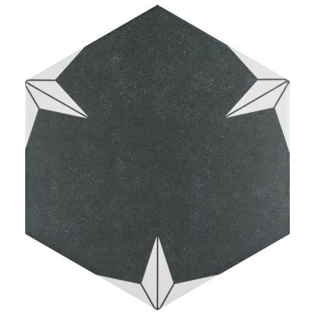 Alternate Image