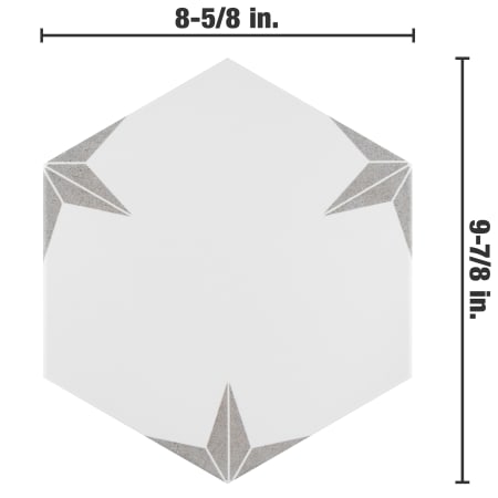 Alternate Image