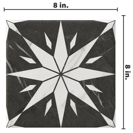 Alternate Image