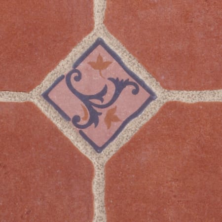 Alternate Image