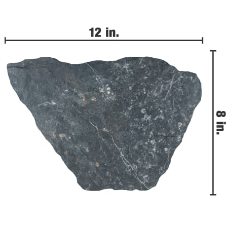 Alternate Image