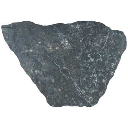 Alternate Image