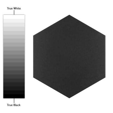 Alternate Image