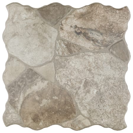 Alternate Image