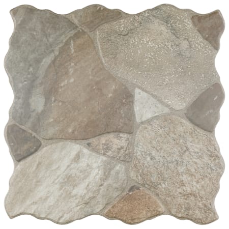 Alternate Image