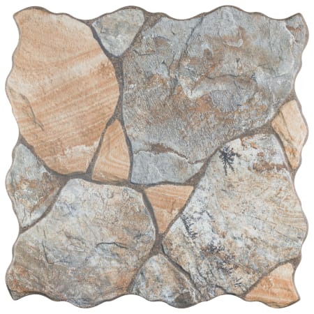 Alternate Image