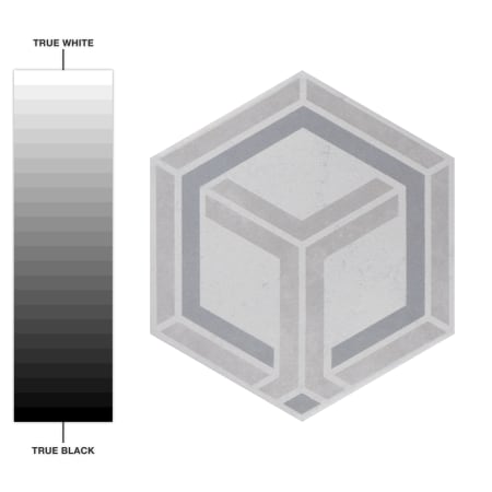 Alternate Image
