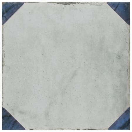 Alternate Image