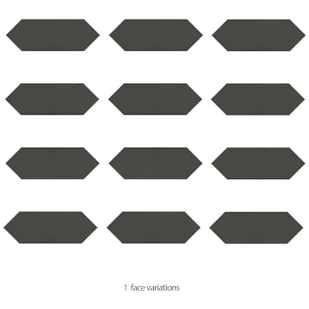 Alternate Image